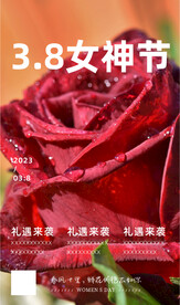 玫瑰花