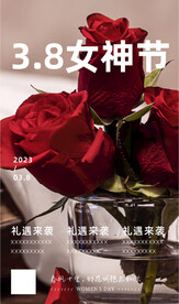 玫瑰花
