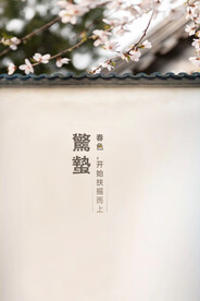 惊蛰