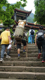 挑山工