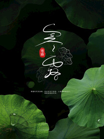 大气寒露节气海报