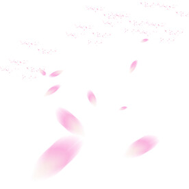 花瓣