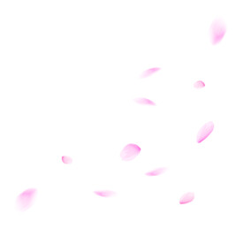 花瓣