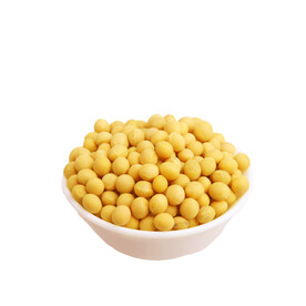 黄豆