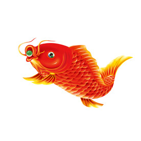锦鲤