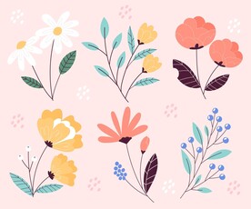 鲜花插画