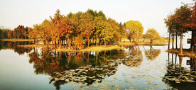 江苏无锡贡湖湾湿地公园