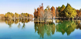 江苏无锡贡湖湾湿地公园