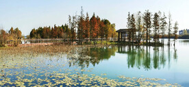 江苏无锡贡湖湾湿地公园