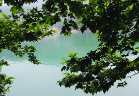 风景   水    树    