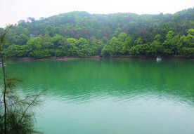 风景 水  树