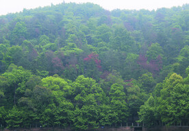 山   风景