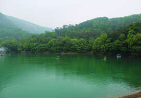 风景 水   树