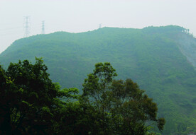 山