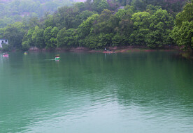 风景 水 树 