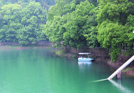 风景 水 树 