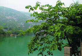 风景 水 树