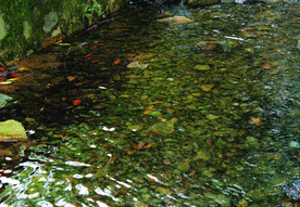 风景   水