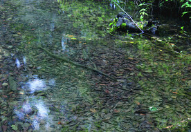 风景   水