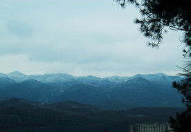 山