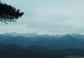 山 