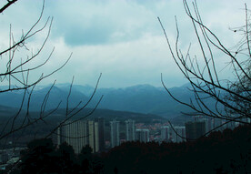 山
