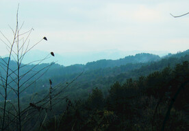 山 