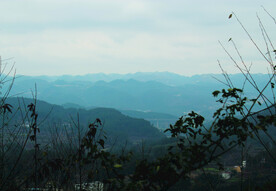 山 