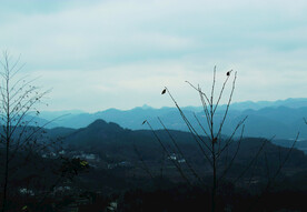 山