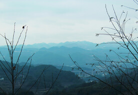 山