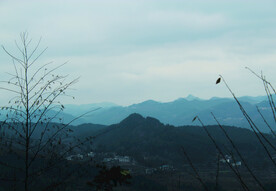山 
