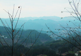 山 
