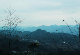 山