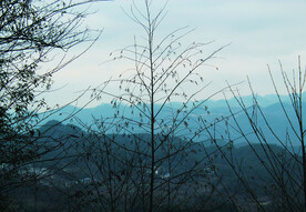 山 