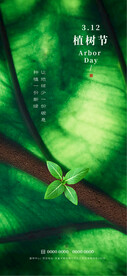 植树节
