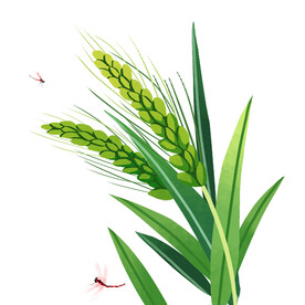 叶子 花