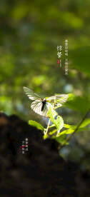 春分