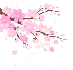 樱花插画