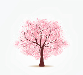 樱花插画