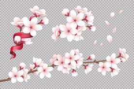 樱花素材