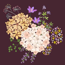 手绘鲜花素材
