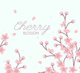 樱花插画
