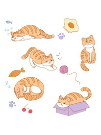 猫
