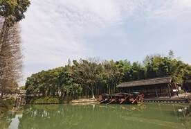 乌镇旅游绿水绿树游船