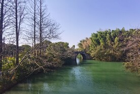 乌镇绿水树荫石拱桥