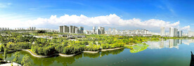 云南保山青华海国家湿地公园