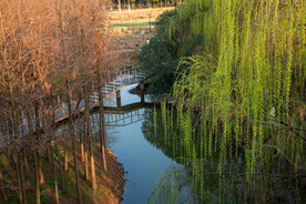 公园风景 