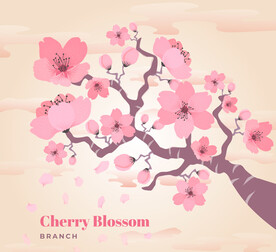樱花