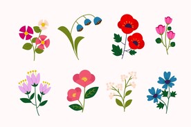 花朵素材
