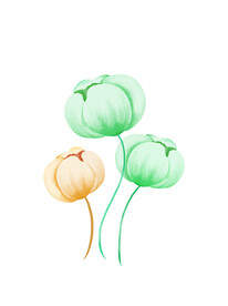 手绘花
